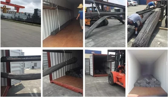 product-554-320 product-554-320